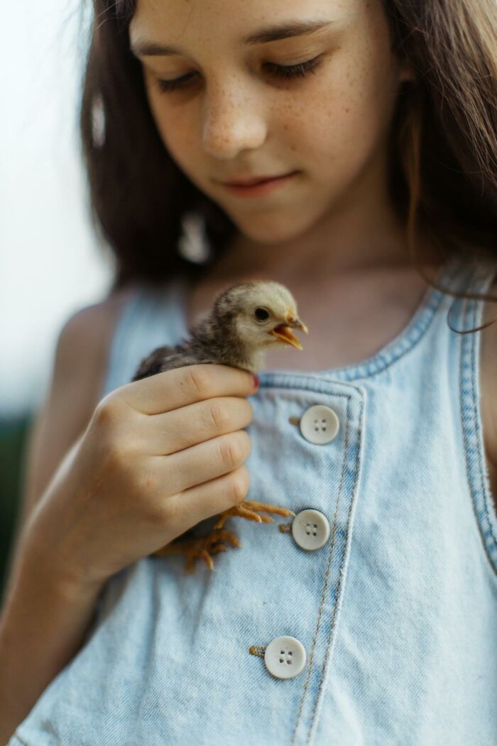 Niña adolescente con vestido de mezclilla sosteniendo un pollito, símbolo de descubrimientos inesperados y padres cotillas.