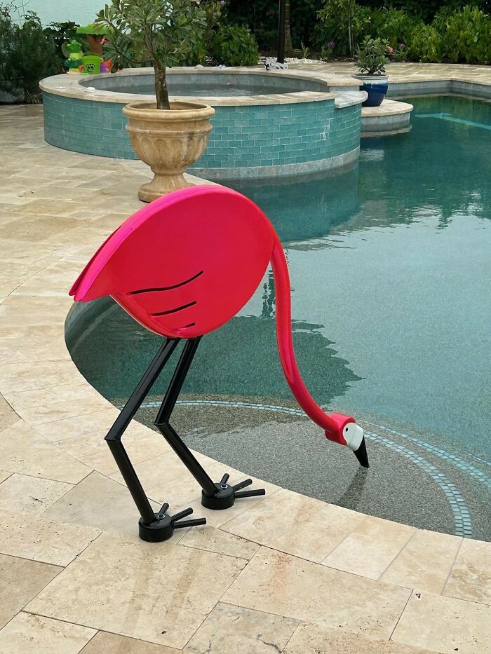 Escultura de flamenco rojo en piscina, una de las mejores inversiones irrechazables encontrada en línea.