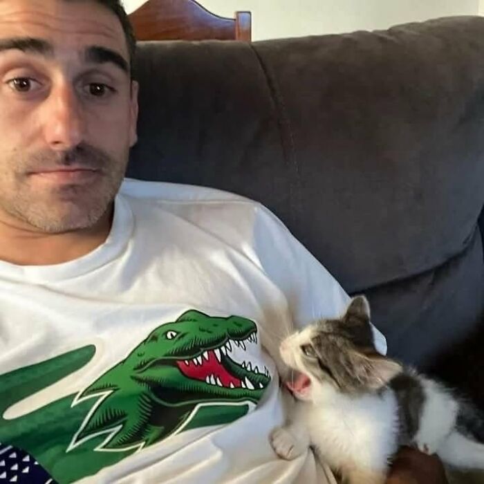 Hombre en sofá con camiseta blanca y gato pequeño que parece maullar, mostrando aura poderosa de gatos.