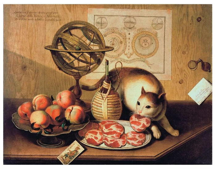 Gato medieval curioso mordiendo trozos de comida sobre mesa con frutas, objetos antiguos y tema de imágenes medievales divertidas.