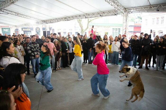 Personas bailando bajo carpa con perro saltando, capturando momentos divertidos de perros en imagen.