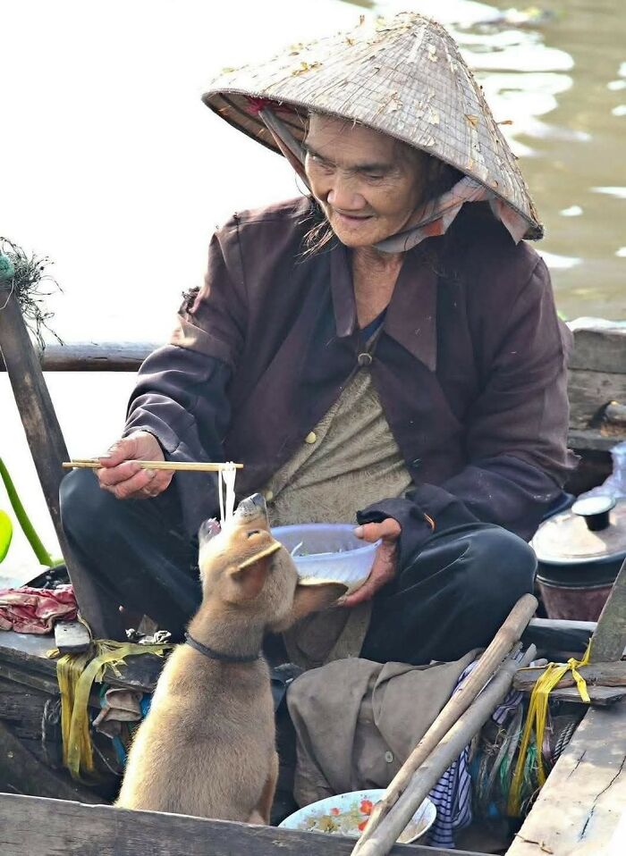 Mujer alimentando a un perro con palillos en un bote, momento divertido de perro captado en cámara.