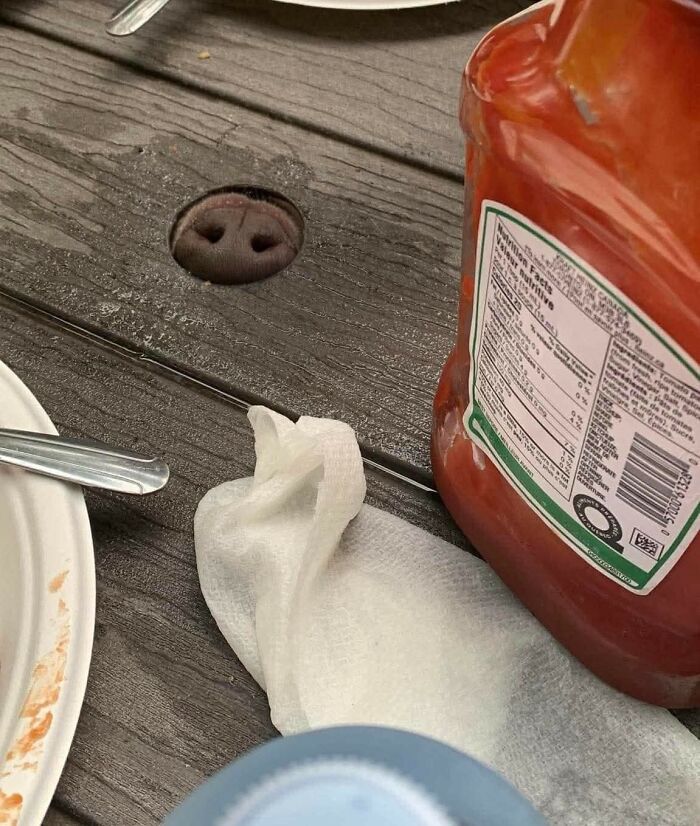 Hocico de perro sobresaliendo de agujero en mesa de madera en una escena divertida de momentos hilarantes de perros.