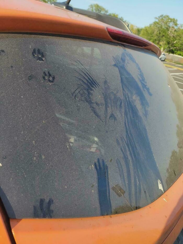 Huellas adorables de patas de gato en ventana trasera de coche polvoriento creando una historia visual única.