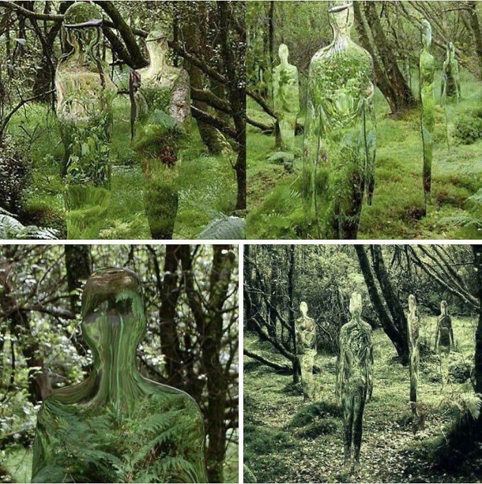 Figuras translúcidas y espeluznantes en un bosque real que provocan sucesos aterradores compartidos en línea. Figuras translúcidas y espeluznantes en un bosque real que provocan sucesos aterradores compartidos en línea.