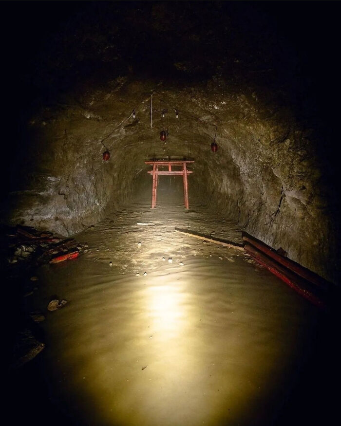 Entrada de túnel oscuro con agua y un torii rojo, escena real inquietante compartida por su atmósfera espeluznante. Entrada de túnel oscuro con agua y un torii rojo, escena real inquietante compartida por su atmósfera espeluznante.