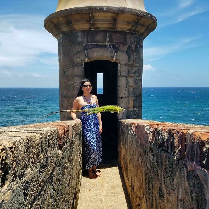 Mujer posando junto a antigua torre de piedra con una iguana verde en primer plano, foto mejor de lo esperado.