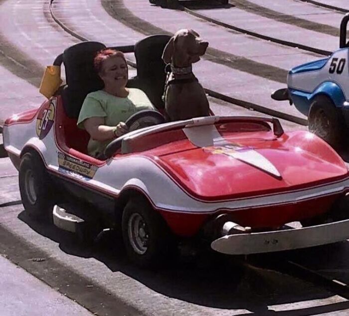 Mujer con gran sentido del humor y su perro disfrutando paseo divertido en coche de parque de diversiones.