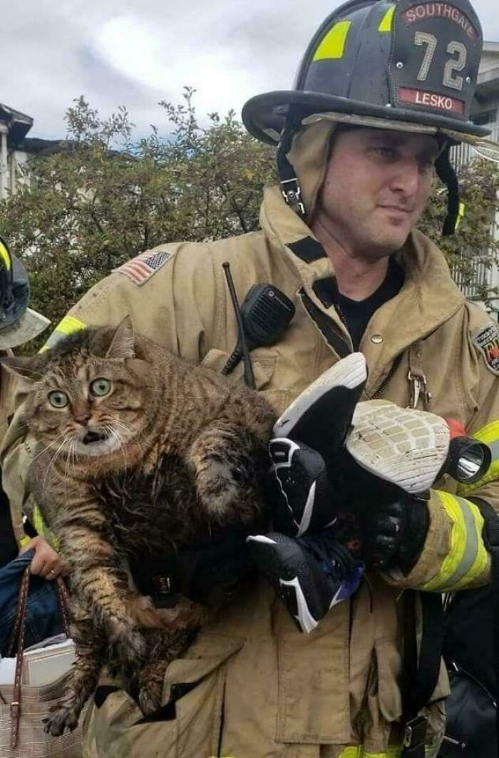 Bombero sosteniendo un gato mojado y sorprendido, imagen extraña y curiosa dentro de fotos raras y extrañas.