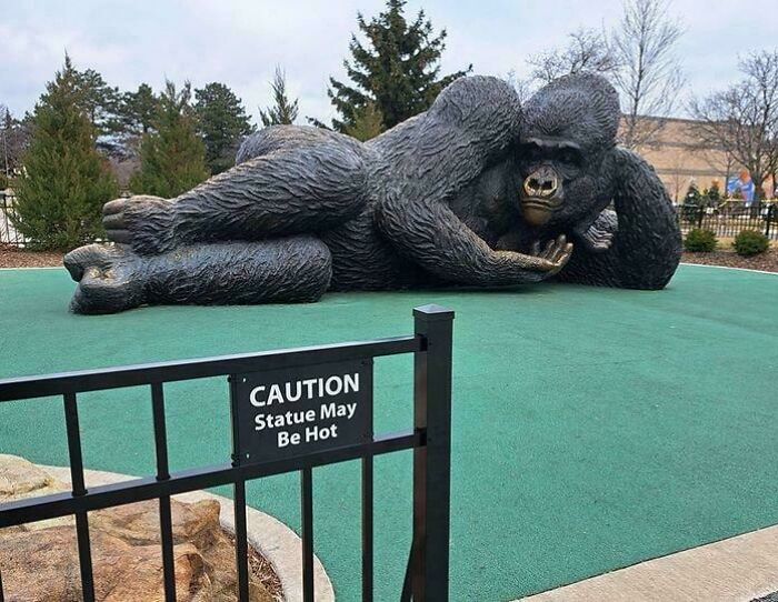 Estatua de gorila acostado en posición extraña con señal de precaución, foto rara que se volvió santa y maldita al mismo tiempo.