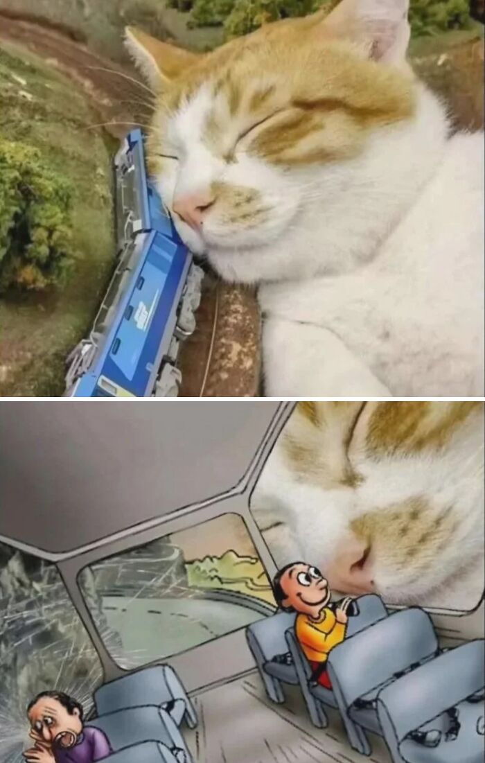 Gato recostado junto a tren y dibujo de pasajeros mirando curioso, imagen extraña que se volvió viral y misteriosa.