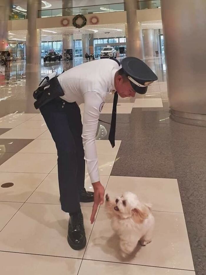 Agente de seguridad saludando a un perro pequeño en momentos divertidos de perros captados en cámara.