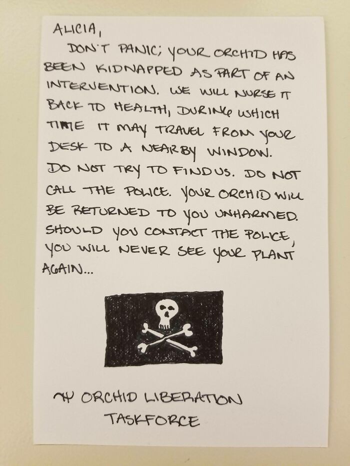 Nota pasivo-agresiva en el trabajo sobre una orquídea secuestrada, con una amenaza humorística y dibujo de bandera pirata.