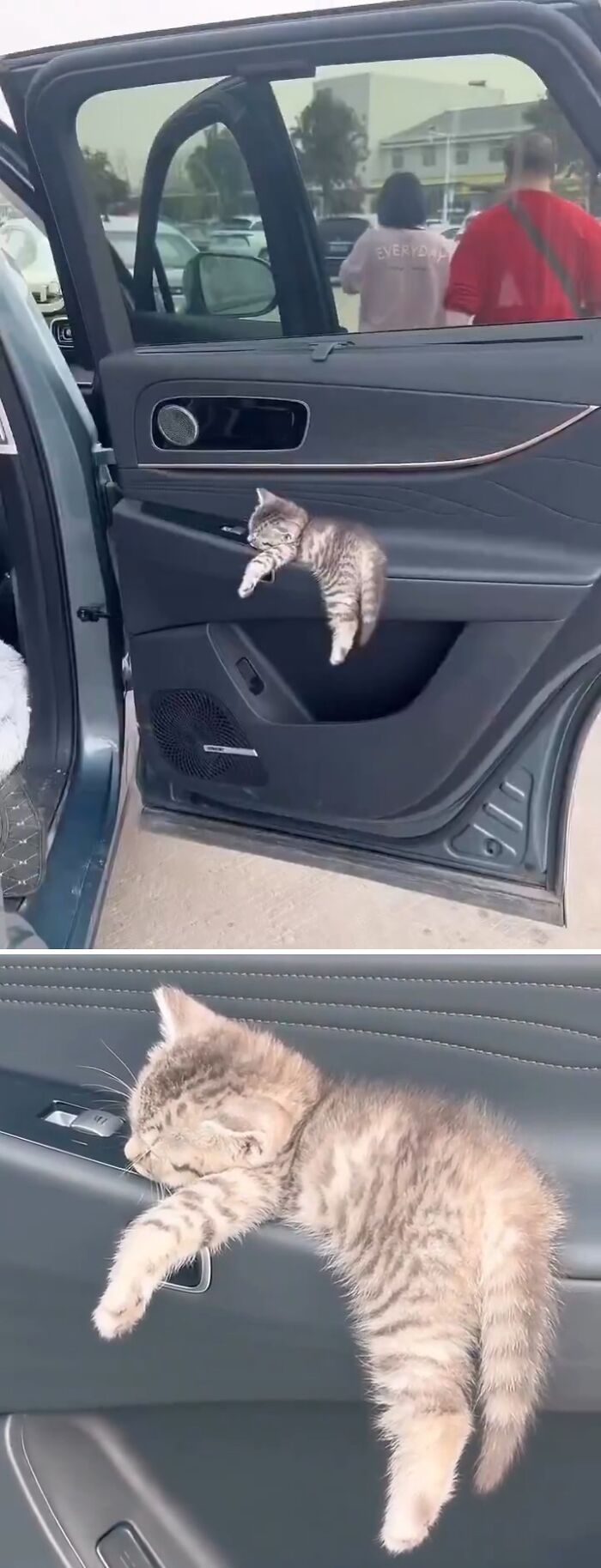 Gato adorable con aura poderosa descansando en la puerta de un coche, mostrando una postura graciosa y relajada.