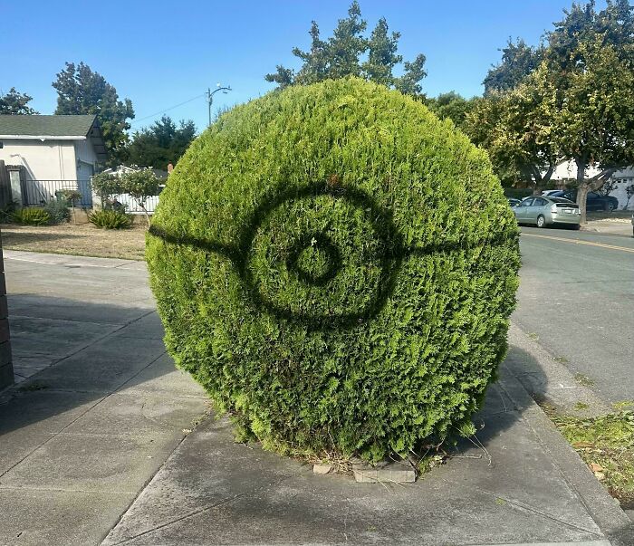 Arbusto recortado con dibujo de Poké Ball pintado, ejemplo de personas actuando como jerks expuestos por sus acciones.