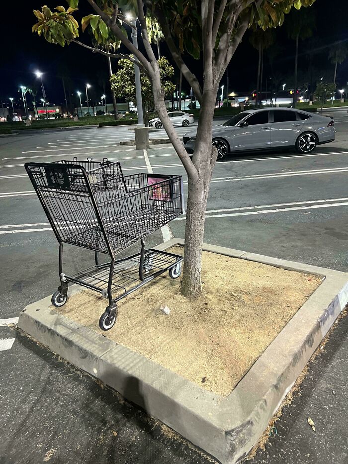 Carrito de supermercado abandonado sobre tierra cerca de árbol en estacionamiento vacío, ejemplo de gente actuando mal y siendo expuesta.