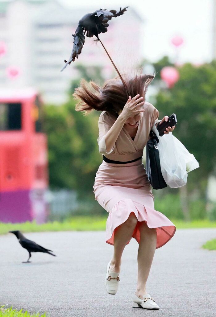 Mujer sorprendida por pájaro negro segundos antes del desastre en una foto divertida que captura el momento exacto.