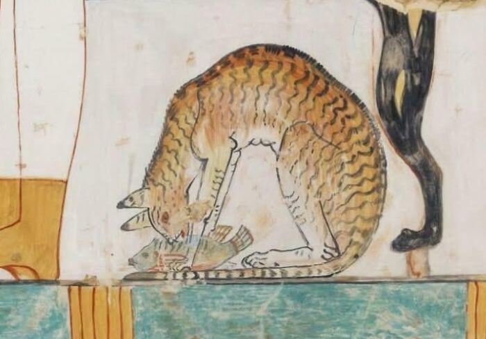 Gato medieval comiendo pescado, fondo del cáliz de comida visible en imagen divertida de arte antiguo.