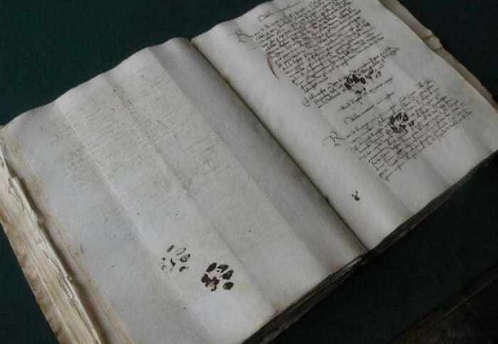 Libro medieval abierto con huellas de patas de gato, imagen divertida de gato medieval en manuscrito antiguo, arte medieval de gatos.