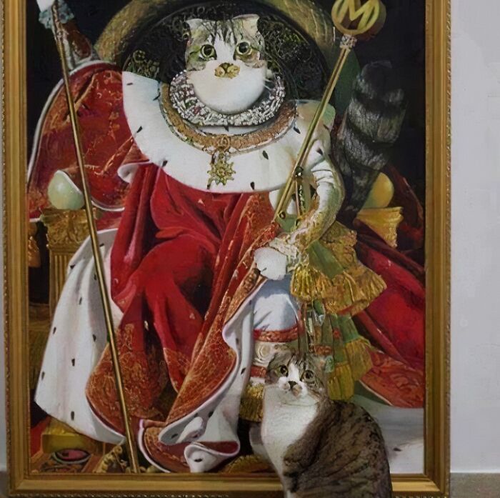 Gato frente a un retrato medieval con temática de gatos, mostrando imágenes divertidas de gatos medievales.