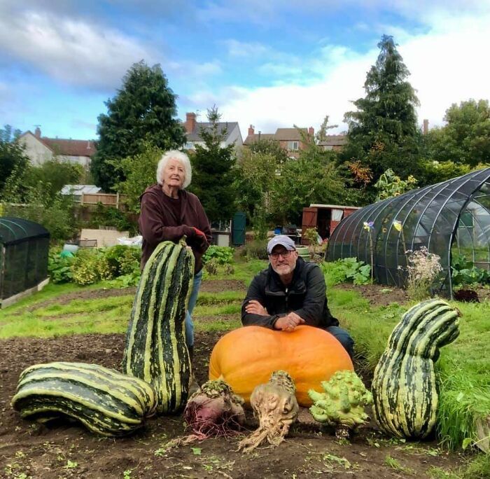 Dos personas en un huerto con vegetales gigantes comparando el tamaño con el cuerpo humano para explicar la verdadera escala.