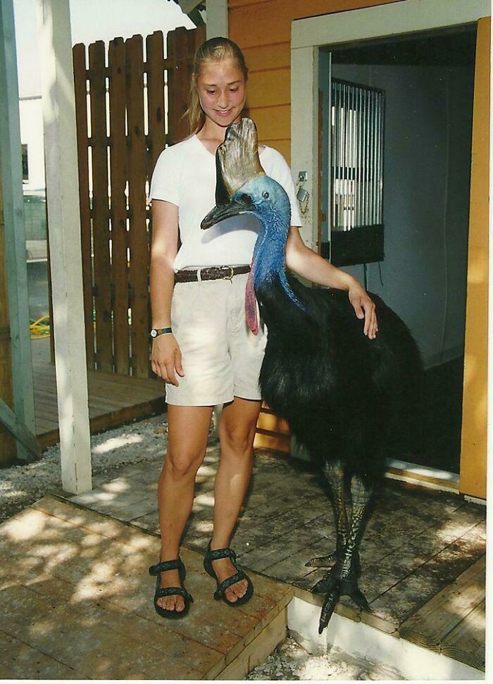 Mujer junto a un casuario gigante mostrando el tamaño real del cuerpo humano y la comparación con animales.