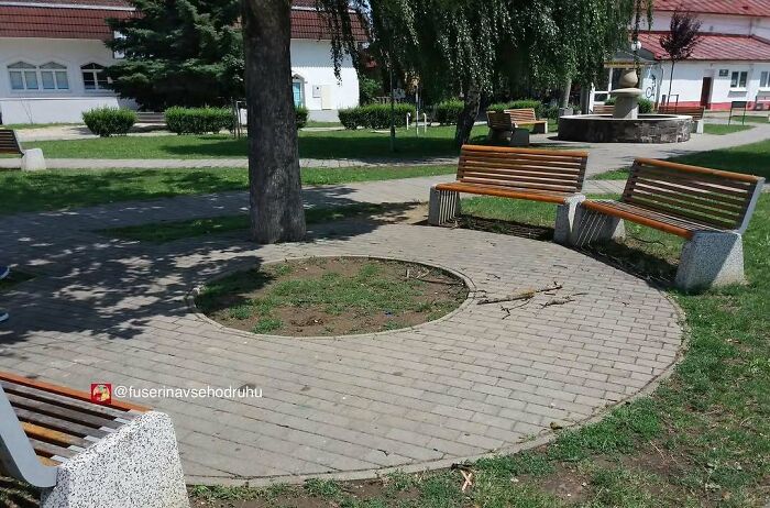 Bancos de parque instalados alrededor de un árbol con fallos de construcción que dificultan el uso cómodo.
