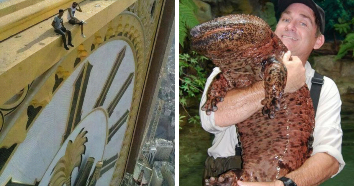Hombres sentados en reloj gigante y persona sosteniendo salamandra enorme mostrando tamau00f1o humano para comparaciu00f3n visual.