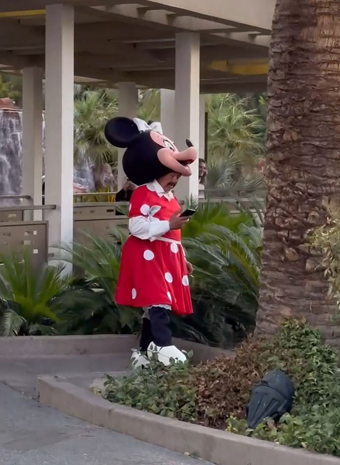Persona con gran sentido del humor disfrazada de Minnie en parque de diversiones, usando teléfono móvil distraída.