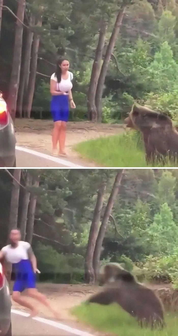 Influencer cometiendo una mala elección al acercarse a un oso en un bosque, causando reacción inesperada y risas.