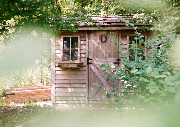 Cabaña de madera entre árboles con sombra, simbolizando momentos inesperados y situaciones incómodas que nadie debía ver.