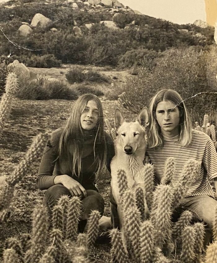 Pareja joven con un perro entre cactus, disfrutando momentos divertidos en una época muy diferente. Pareja joven con un perro entre cactus, disfrutando momentos divertidos en una época muy diferente.