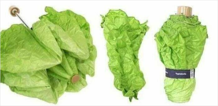 Paraguas con diseño de hoja verde que imita una lechuga, uno de los objetos más extraños encontrados en línea.