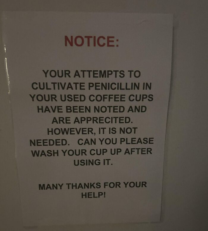 Aviso pasivo-agresivo en el trabajo solicitando lavar las tazas de café usadas para evitar cultivo de penicilina.