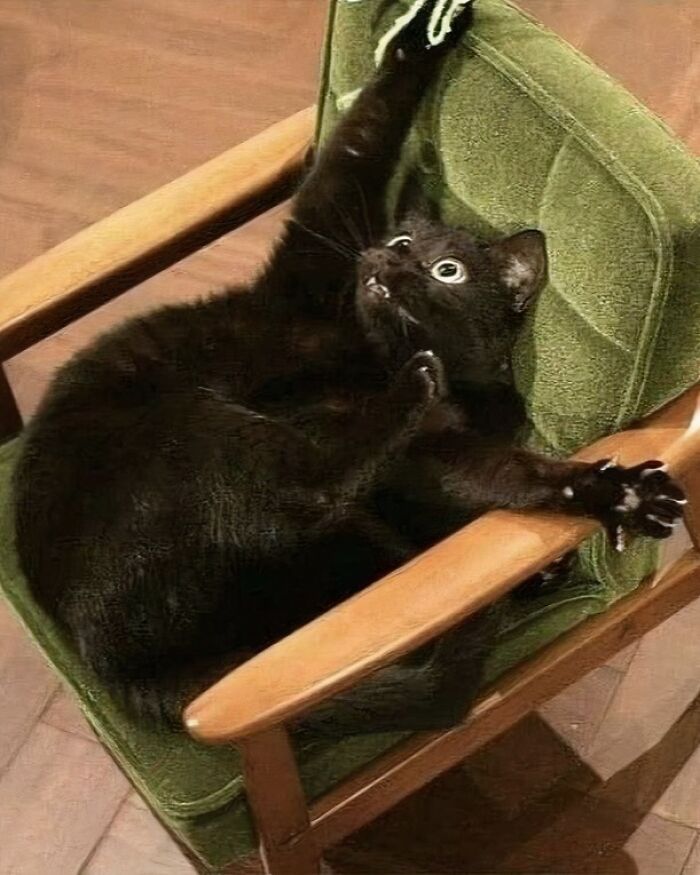 Gato negro estirándose en una silla verde, mostrando una pose divertida, perfecto para catwalk y comedia de gatos. Gato negro estirándose en una silla verde, mostrando una pose divertida, perfecto para catwalk y comedia de gatos.