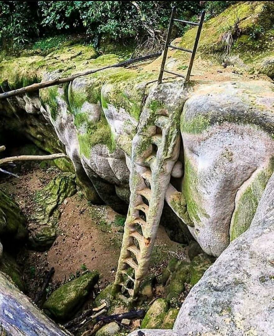 Escalera petrificada antigua incrustada en roca cubierta de musgo en un entorno natural en Francia.