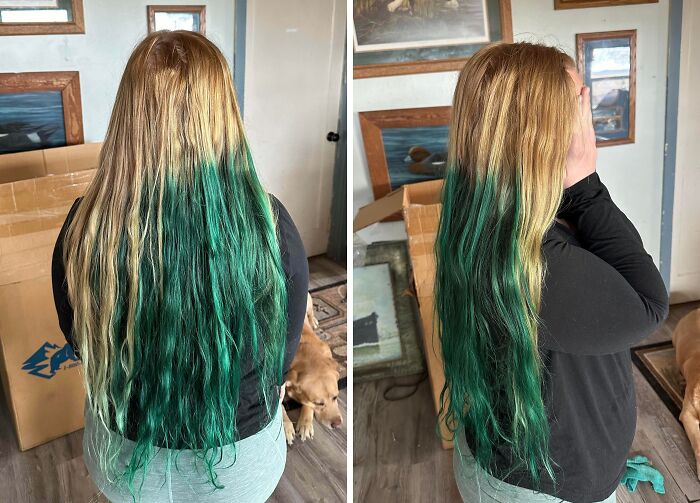 Cabello largo con accidente de tinte verde azulado en las puntas, mostrando un error divertido en el color del cabello.