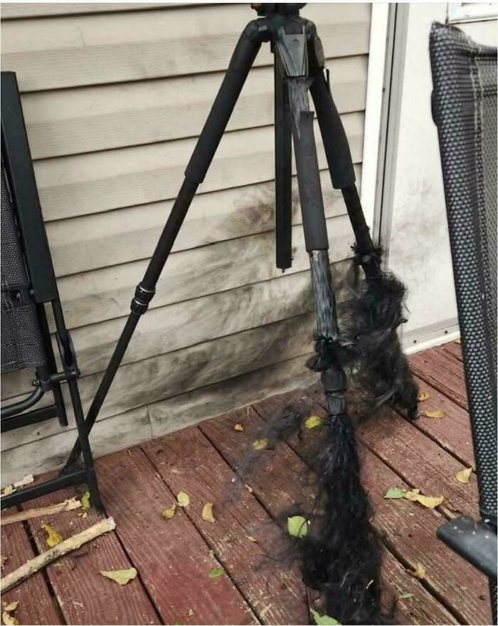 Trípode cubierto de pelaje negro encontrado en un lugar exterior, ejemplo de algo muy random que la gente fotografió.