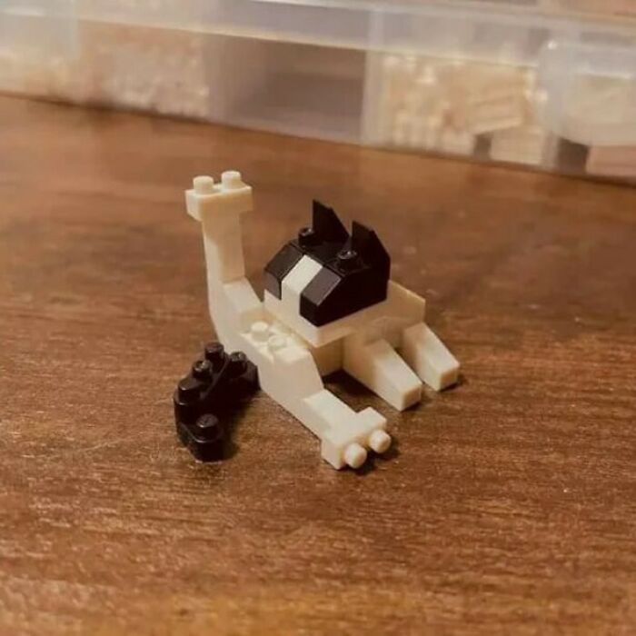 Gatito hecho con bloques de construcción en pose divertida, destacando entre los gatos perfectos para la pasarela. Gatito hecho con bloques de construcción en pose divertida, destacando entre los gatos perfectos para la pasarela.