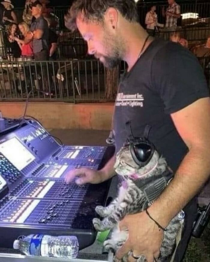 Hombre con gatito usando audífonos mientras controla consola de sonido en evento, mostrando kitties purr-fect en acción. Hombre con gatito usando audífonos mientras controla consola de sonido en evento, mostrando kitties purr-fect en acción.