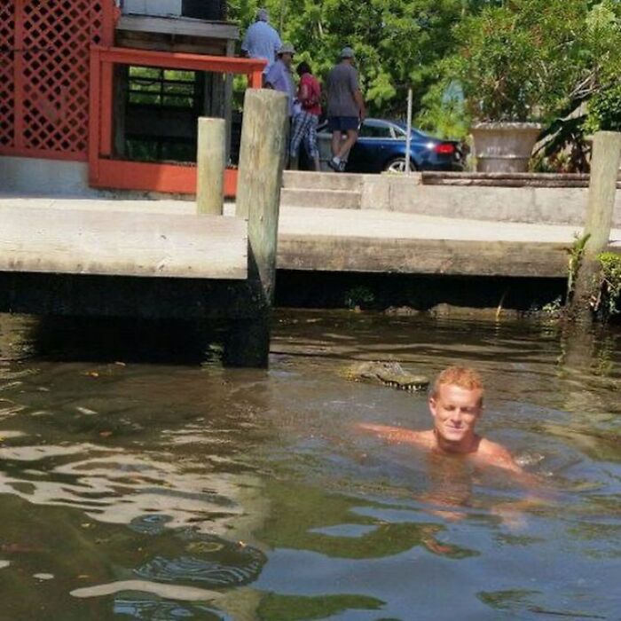 Hombre nadando cerca de un cocodrilo en un canal, imagen extraña y bizarra que no es para los fácilmente ofendidos.