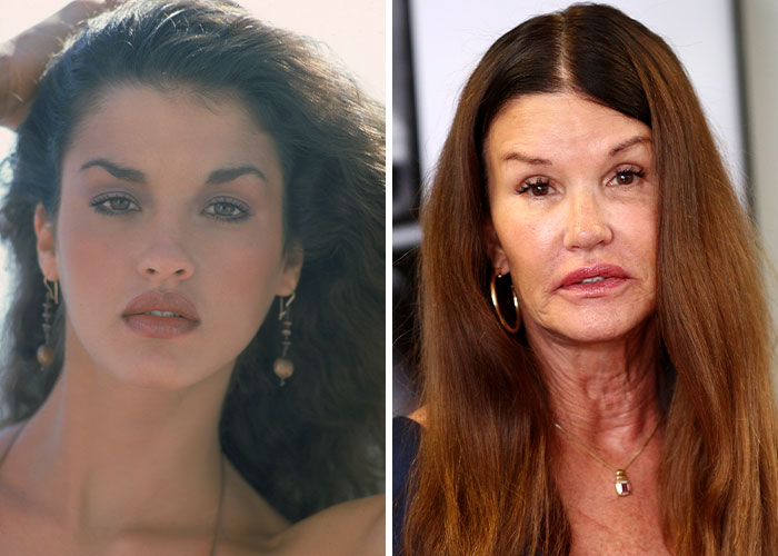 Cambio en la apariencia de estrellas con belleza incomparable mostrando evolución a lo largo del tiempo.