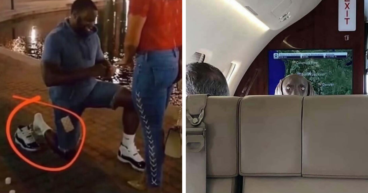 Hombre arrodillado con pierna invisible y perro con ojos extrau00f1os en un aviu00f3n, imu00e1genes inexplicables y enervantes.