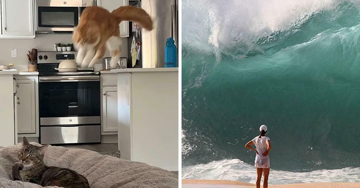 24 Fotos tomadas momentos antes de un desastre que te harán encogerte