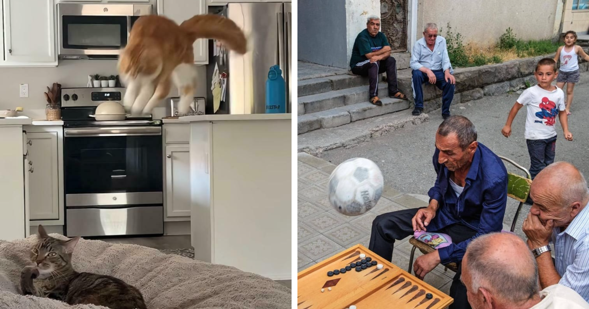 Gato saltando en cocina y grupo de personas sorprendidas por un balu00f3n acercu00e1ndose momentos antes de un desastre.