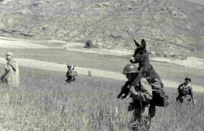 Soldado cargando un burro en el campo durante la guerra en esta foto rara y poderosa de la comunidad online histórica.