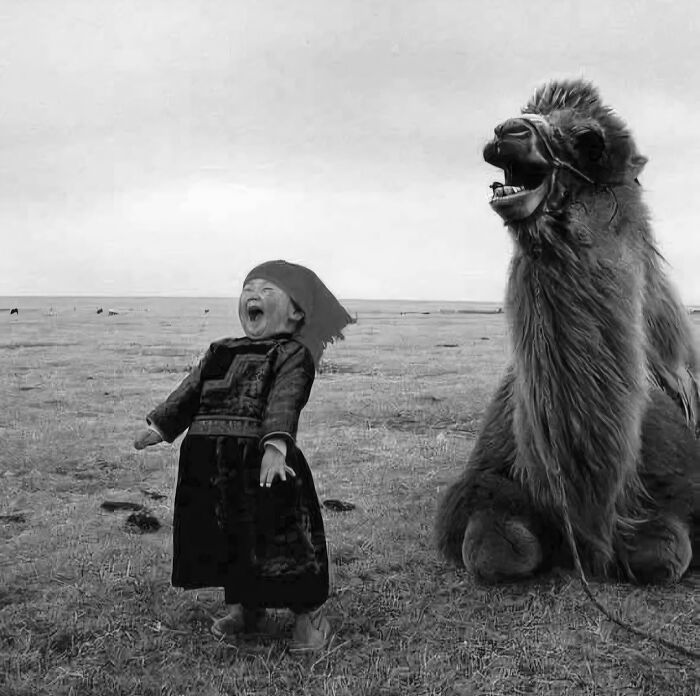Niña vestida tradicional junto a un camello en campo abierto, foto rara y poderosa de comunidad histórica online.