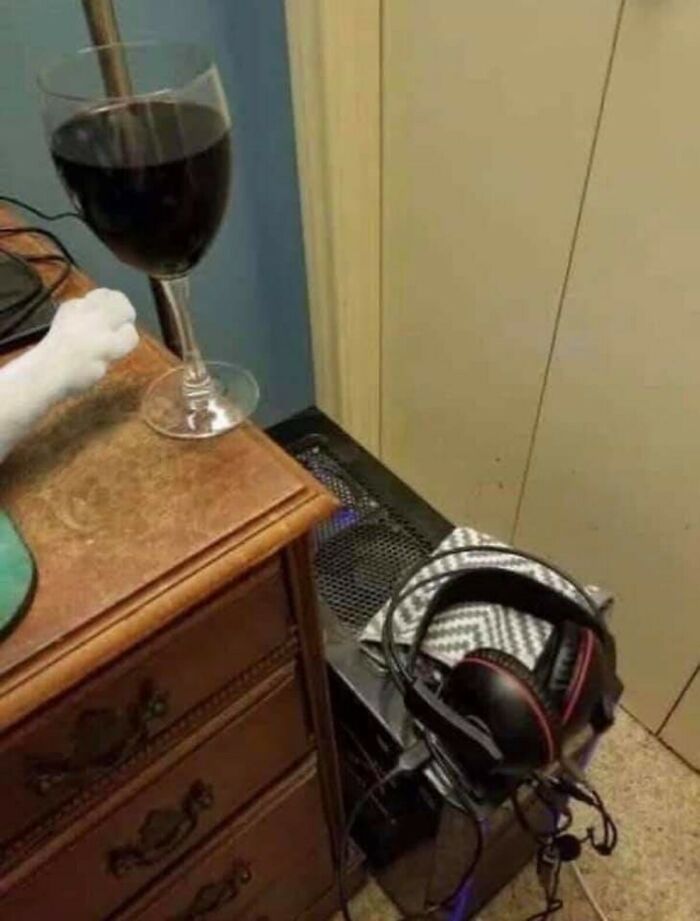 Gato intentando derribar copa de vino cerca de equipo con auriculares, momento justo antes de desastre inesperado.