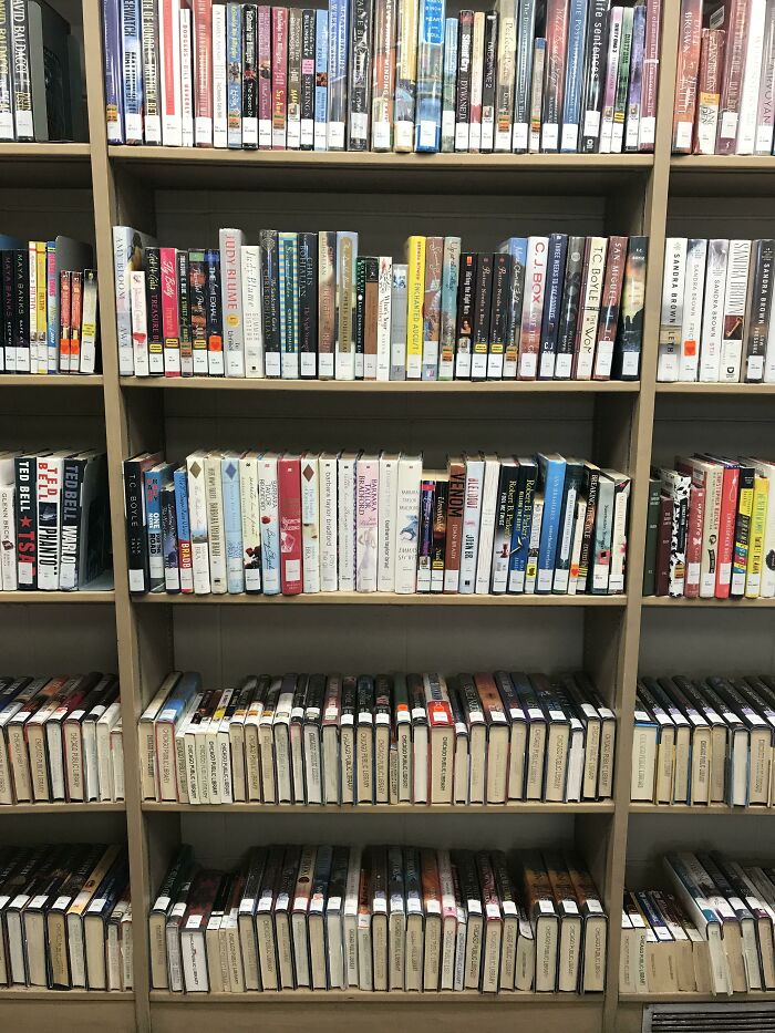 Estanterías organizadas con libros mostrando ideas ingeniosas para resolver problemas cotidianos de forma creativa.