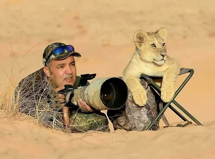 Fotógrafo en el desierto con teleobjetivo y cachorro de león en silla, imagen perfecta para "eye bleach" visual.